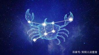 旺双鱼座的星座（什么星座最宠双鱼座）