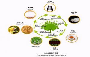 pla是什么意思（后石油时代的生物材料）