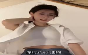 细狗什么意思（程女士的梗）