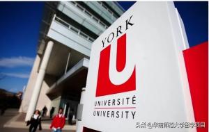 york大学（约克大学世界排名）