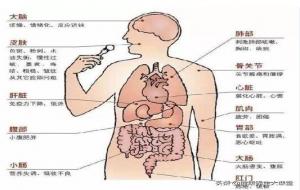 人为什么会生病（中医的理解）