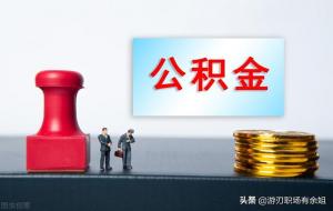 补充公积金是什么意思