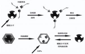 分子印迹技术